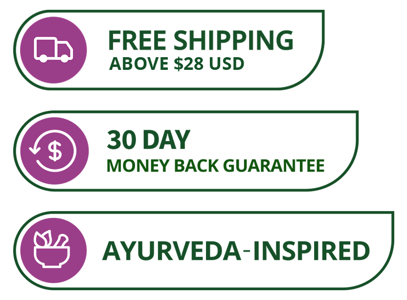 theayurvedaexperience